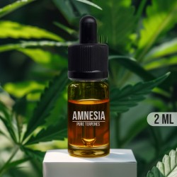 Amnesia pure terpenes