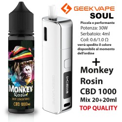 promo Monkey + Soul